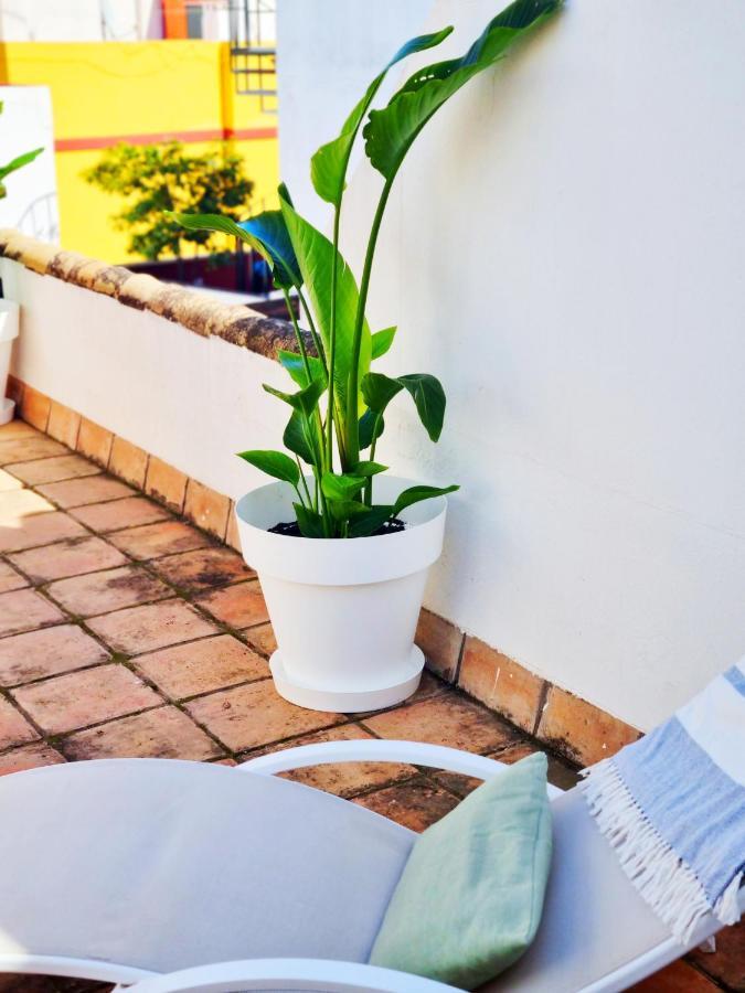 Loft & Private Rooftop With Bbq Siviglia Esterno foto
